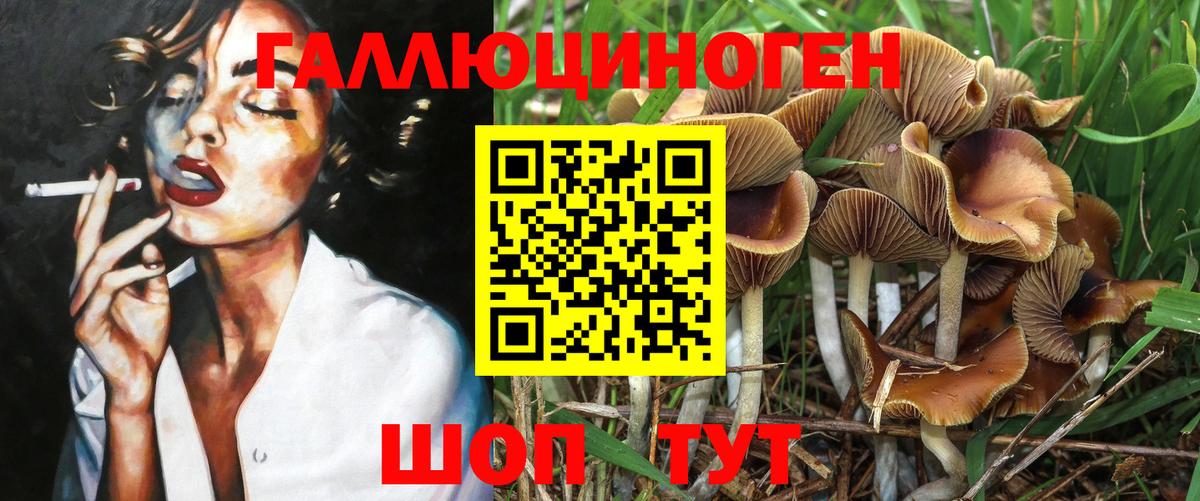 Междуреченск  Галлюциногенные грибы Psilocybe  Вход с VPN 